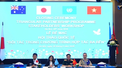 TPP-programmet fremmer FN's fredsbevarende operationer.