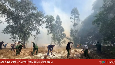 Following a series of forest fires in Quang Tri, officials and soldiers, in coordination with local people, are actively working to extinguish the flames.