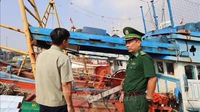 IUU پیلے کارڈ سے خطاب: ہو چی منہ سٹی ماہی گیری کے جہاز کی لاگ بک کو ڈیجیٹائز کرتا ہے۔