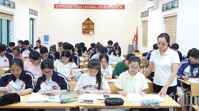 Plan for promotion of preschool and primary school teachers in 2026