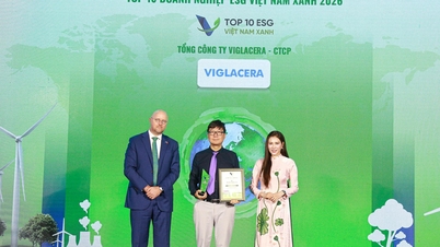 Cú “hat-trick” ESG và chiến lược quản trị hệ sinh thái xanh của Viglacera