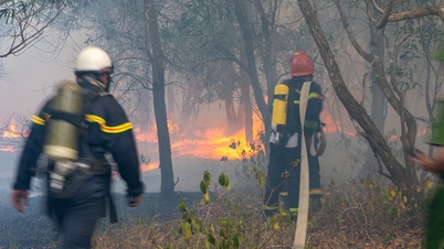 Kebakaran hutan di zon perlindungan pantai wilayah Quang Tri: Beribu-ribu orang berpeluh lebat ketika memadamkan kebakaran pada tengah hari.