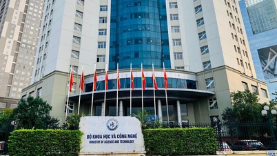 Bilim ve Teknoloji Bakanlığı yeni bir organizasyon yapısına kavuştu.