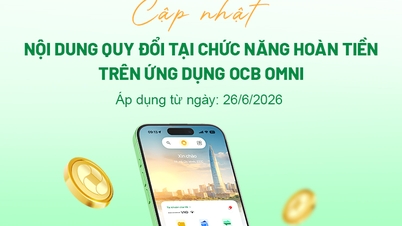 Os detalhes atualizados da conversão estão disponíveis na função de cashback do aplicativo OCB OMNI.