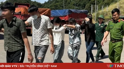 Kita harus memerangi dan menghukum berat jaringan kriminal yang memanfaatkan teknologi tinggi untuk melakukan penipuan dan perdagangan manusia.