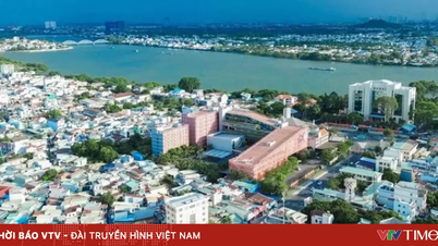 Dong Nai finalizuje plan nowego centrum administracyjnego o powierzchni 102 hektarów.