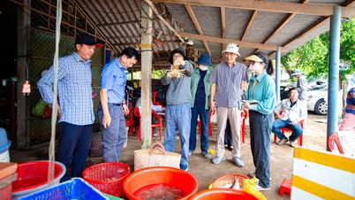 Die Provinz Vinh Long prüft ein 624 Milliarden VND teures Projekt zur Entwicklung einer grünen Kreislaufwirtschaft.