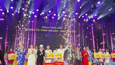 Pham Ngoc Anhs reise fra forretningskvinne til Bolero-mester.