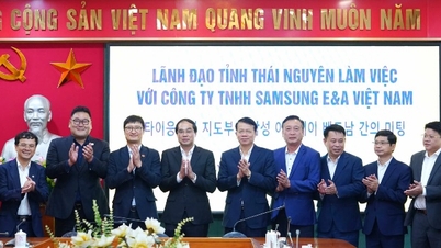 A Thai Nguyen Tartományi Pártbizottság titkára elnökölt egy találkozón a Samsung E&A Vietnam Co., Ltd.-vel.