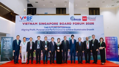Promoting Vietnam-Singapore cooperation for sustainable growth.