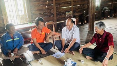 Les personnes jouissant de la réputation des « deux excellences » dans le village.