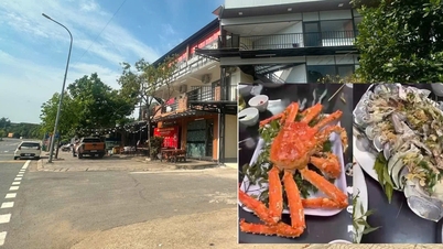 Une femme « conclut l'affaire » avec un repas inattendu composé de crabe royal et de homard d'Alaska.