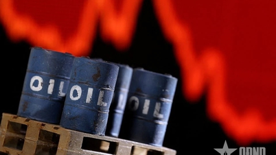 Harga bahan api hari ini (27 Jun): Harga minyak dunia menjunam.