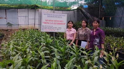 TP.HCM đặt mục tiêu không còn hộ nghèo vào năm 2030