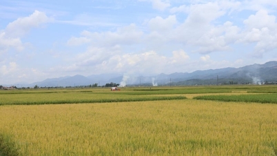 Điện Biên tăng cường thông tin thị trường, hỗ trợ xuất khẩu nông sản