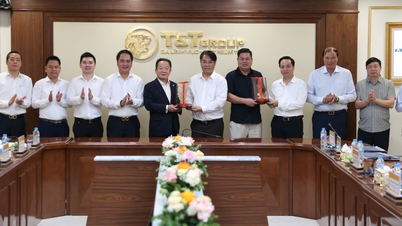 Cao Bang a skupina T&T si vyměňují názory na strategie podpory obchodu a investic - Cao Bang Online Newspaper