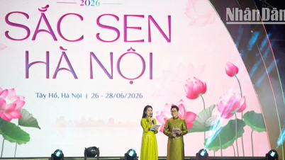 [Photo] Le « Festival du lotus de Hanoï » rend hommage à la fleur de lotus, associée au Vietnam depuis des milliers d'années.