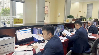 Perbendaharaan sedang memodenkan proses kutipan hasil.