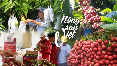 New opportunities for Vietnamese agricultural products.