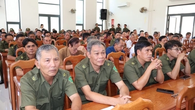 ការរៀបចំឡើងវិញចុងក្រោយបំផុតនៃភូមិ និងតំបន់លំនៅដ្ឋាននៅក្នុងខេត្តយ៉ាឡាយ (រួមទាំងខេត្តប៊ិញឌិញអតីត) ពាក់ព័ន្ធនឹងការជ្រើសរើសបុគ្គលិកត្រឹមត្រូវសម្រាប់ការការពារសន្តិសុខ និងសណ្តាប់ធ្នាប់ ដោយធានាថាមនុស្សត្រឹមត្រូវស្ថិតនៅក្នុងទីតាំងត្រឹមត្រូវ។
