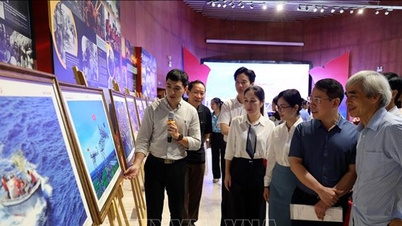 Mit über 200 Fotos und Videos zum Thema „Fröhliches Vietnam“.