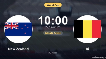 New Zealand vs Belgium Live: Analysis and Predicted Lineups