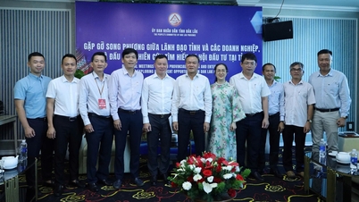 Phó Chủ tịch UBND tỉnh Đào Mỹ tiếp Công ty cổ phần Giải pháp Năng lượng gió HBRE và Tập đoàn S.VN