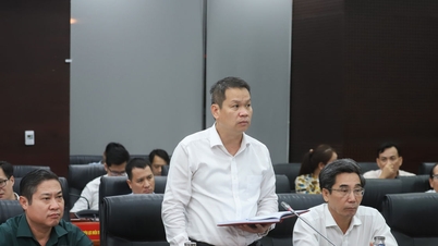 Da Nang stabilește o direcție sistematică, pe termen lung, pentru sectoarele industrial și energetic.