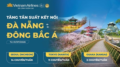 Increase the frequency of flights from Da Nang to Northeast Asia.