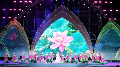 Il Festival del Loto di Hanoi 2026 promuove l'industria culturale della capitale.
