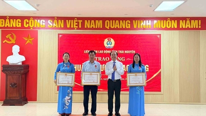 Federasi Serikat Buruh Thai Nguyen merangkum Bulan Buruh 2026.