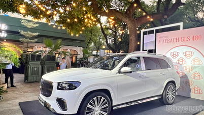 SUV siêu sang Mercedes-Maybach GLS 480 2026 giá gần 9 tỷ đồng