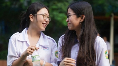 Corrigé et questions d'examen pour l'épreuve de littérature de 10e année dans la province de Gia Lai.