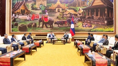 Vietnam und Laos verstärken die Zusammenarbeit bei der Wirtschaftsprüfung, beschleunigen die digitale Transformation und bilden Fachkräfte aus.