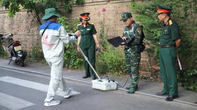 Mithilfe von Bodenradar hat Hue Orte identifiziert, an denen sich vermutlich Massengräber gefallener Soldaten befinden.