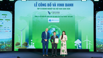 Meygroup palkittiin yhtenä Vietnamin kymmenestä parhaasta vihreästä ESG-yrityksestä vuonna 2026