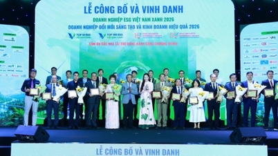 Elismerések Vietnam legjobb zöld ESG vállalkozásairól 2026-ban és a legjobb innovatív és hatékony vállalkozásokról 2026-ban