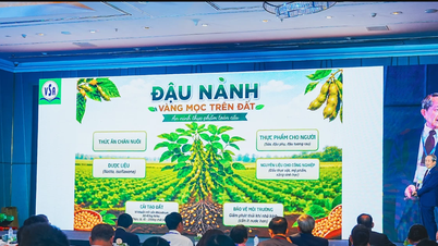 Scientific Workshop: The Nutritional Role of Soybeans and Nuts in Health and Prevention of Non-Communicable Diseases