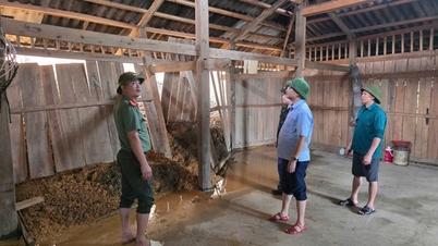 441 casas afetadas por fortes chuvas - Jornal online Cao Bang