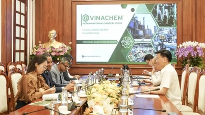 Vinachem arbeitet mit Hayleys Aventura zusammen und fördert so die chemische Kooperation zwischen Vietnam und Sri Lanka.