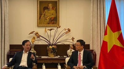Kedutaan Besar Vietnam di Jepang bekerja sama dengan Vinh Long untuk memperluas kerja sama.