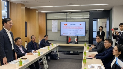 Vinh Long memperluas kerja sama dengan Jepang di bidang pelatihan sumber daya manusia.