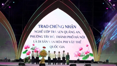 Des étangs de lotus de banlieue à l'essence même du lotus d'Hanoï