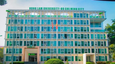 Una universidad del sur del país ha anunciado las puntuaciones mínimas de admisión para 2026.