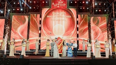 Skönheten från Dong Thap erövrar topptiteln vid Miss Brand Vietnam 2026.