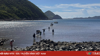 L'émission « Vietnam Wild Live » sera diffusée en direct sur VTV2 à partir du 27 juin.