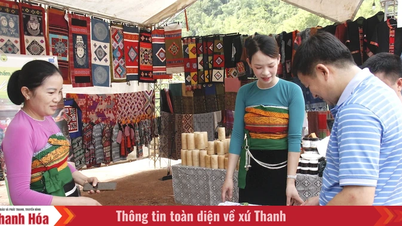 Promoting the image of Co Lung to develop ecotourism and community tourism.