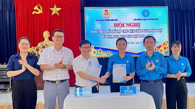 Sindicatul din cartierul Dien Ban, Da Nang, și agenția locală de asigurări sociale au semnat un acord de cooperare.