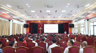 La comuna de Vinh Thanh rinde homenaje a 47 familias culturales ejemplares.