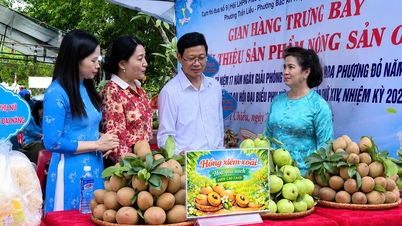 Las mujeres de Hai Phong actúan como un "puente" para ayudar a que los productos de OCOP lleguen a un mercado más amplio.